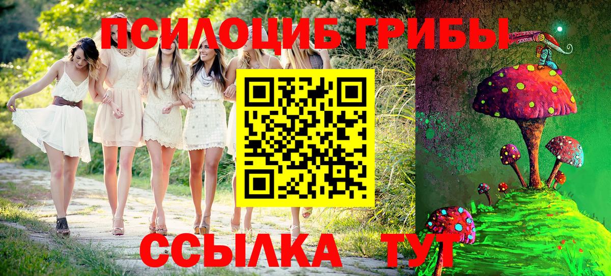 Псилоцибиновые грибы MAGIC MUSHROOMS Урюпинск